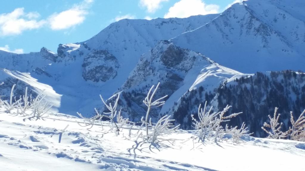 Le Chalet Du Queyras And Spa مولينيس ان كويراس المظهر الخارجي الصورة